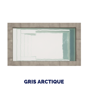 1119 Gris arctique