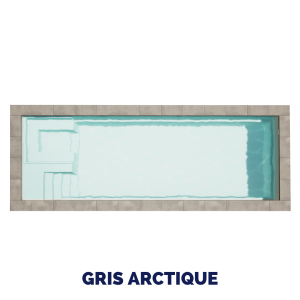 1232 Gris arctique